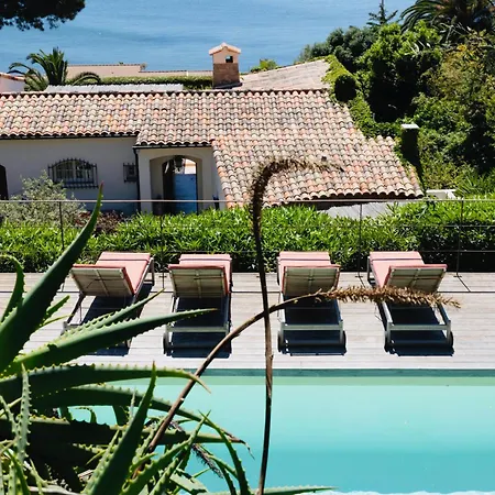 Balamb Garden A Cinarchesa 4* Αζάτσιο